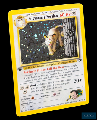 une carte Pokémon sur laquelle figure l'image d'un chat