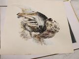 a picture of a drawing of a bird on a piece of paper