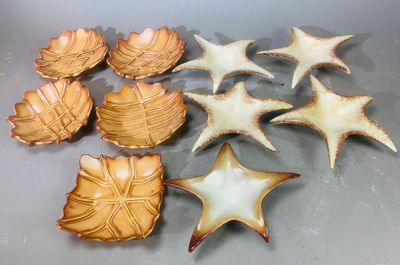 un groupe d'étoiles de mer et de coquillages posés sur une table
