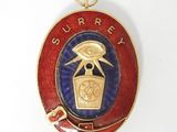 an image of a red and blue badge with a bird on it