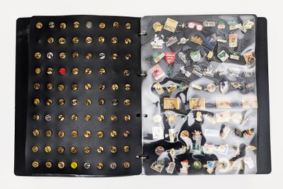 Collection d'environ 220/230 pin's sur 3 planches dans 1 cla…