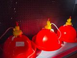 three red fire hydrants sitting on a shelf in a store