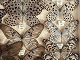 many butterflies that are in a box together