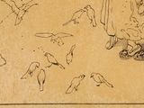 a drawing of a woman feeding birds on the ground