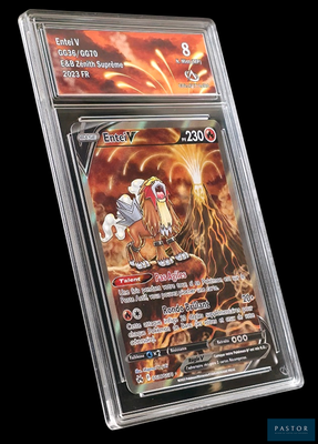 un gros plan d'une carte Pokémon dans un étui en plastique transparent
