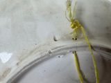 a white bowl with a yellow ribbon on it