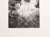 an image of a black and white photo of a waterfall