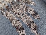 silver sequins are scattered on a denim jacket with silver sequins