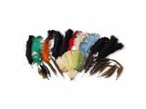 a bunch of different colored feathers on a white background