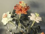 a vase with flowers in it sitting on a table
