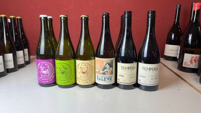 de nombreuses bouteilles de vin alignées sur le comptoir