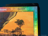 a picture of a picture of a giraffe in the wild