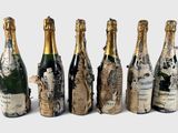 six bouteilles de champagne sont alignées sur une surface blanche