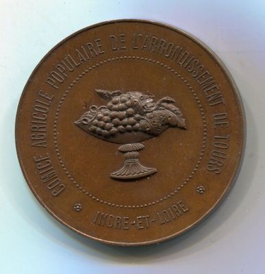 une image représentant une pièce de monnaie en bronze sur laquelle figure un oiseau