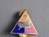 un gros plan d'une petite broche triangulaire ornée d'une libellule