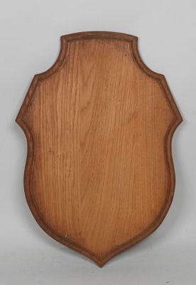 an old wooden shield with a wooden frame on a white background