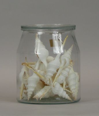 a glass jar filled with a lot of toothbrushes