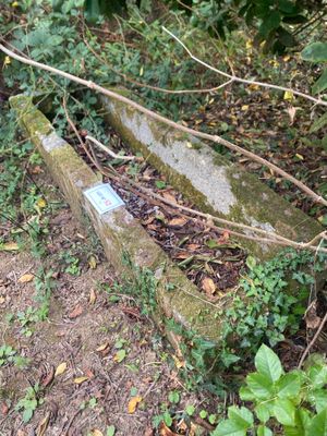 un banc en pierre au milieu de la forêt