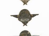 four badges of various sizes and shapes are displayed on a white surface