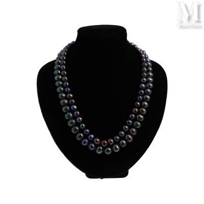 gros plan d'un collier sur un mannequin sur fond blanc