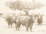 drawing of a herd of cattle in a field with a tree in the background
