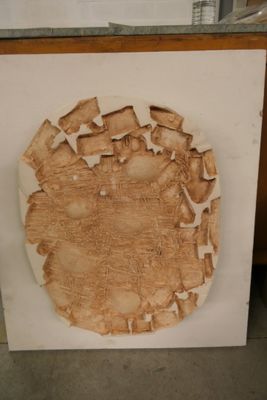 une photo d'un morceau de bois coupé en deux