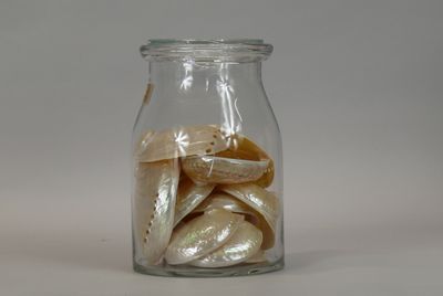 a glass jar filled with shells on a white surface