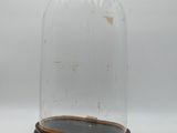 une cloche en verre reposant sur un socle en bois, posée sur une surface blanche
