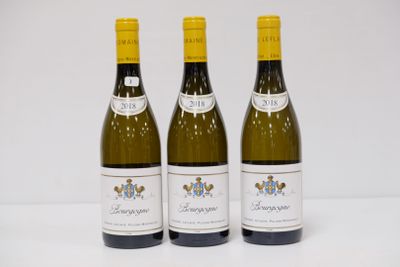 3 B - BOURGOGNE Blanc  - Domaine Leflaive - 2018