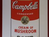 campbell ' s condensed cream of mushroom soup print