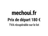 Photo 1/1 du lot