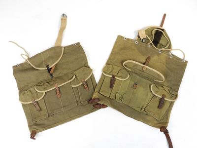 Voici deux sacs posés côte à côte sur une surface blanche.