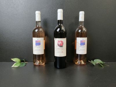 Lot de 3 bouteilles de vin Rouge et Rosé SirMontargu Secret …
