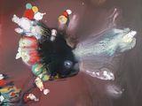 une peinture représentant un poisson flottant dans l'eau