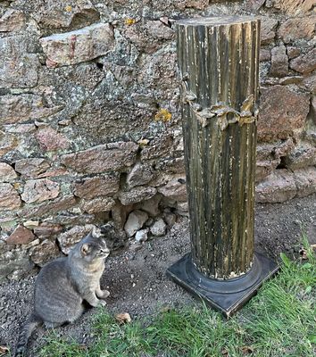 un chat assis à côté d'une fontaine à eau