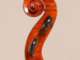 a close up of the back of a violin