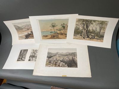 Plusieurs photos d'animaux sont posées sur une table devant un ordinateur portable