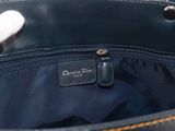the inside of a blue bag with a white cat sticking out of it