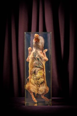 une photo d'une statue représentant un vieil homme, exposée dans une vitrine