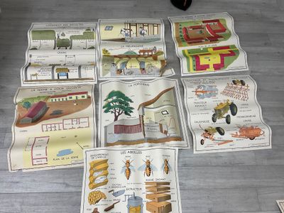 Lot de 7 affiches scolaires sur thème agricole.