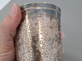 a person holding a silver cup in their hand