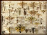 many insects that are on display in a wooden frame