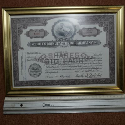 une photo d'un certificat exposé dans un cadre doré