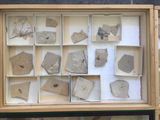 une photo d'une vitrine contenant de nombreuses pierres