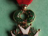 an image of a medal with a red ribbon on a green surface