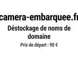 Photo 1/1 du lot