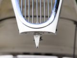 a close up of a car ' s grill with a bird on it