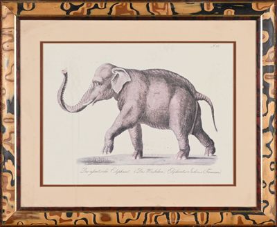 tableau représentant un éléphant doté d'une longue défense marchant dans l'herbe
