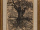 a drawing of a tree in a frame on a wall