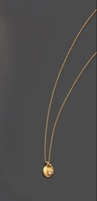 un collier plaqué or avec une pièce suspendue à une chaîne